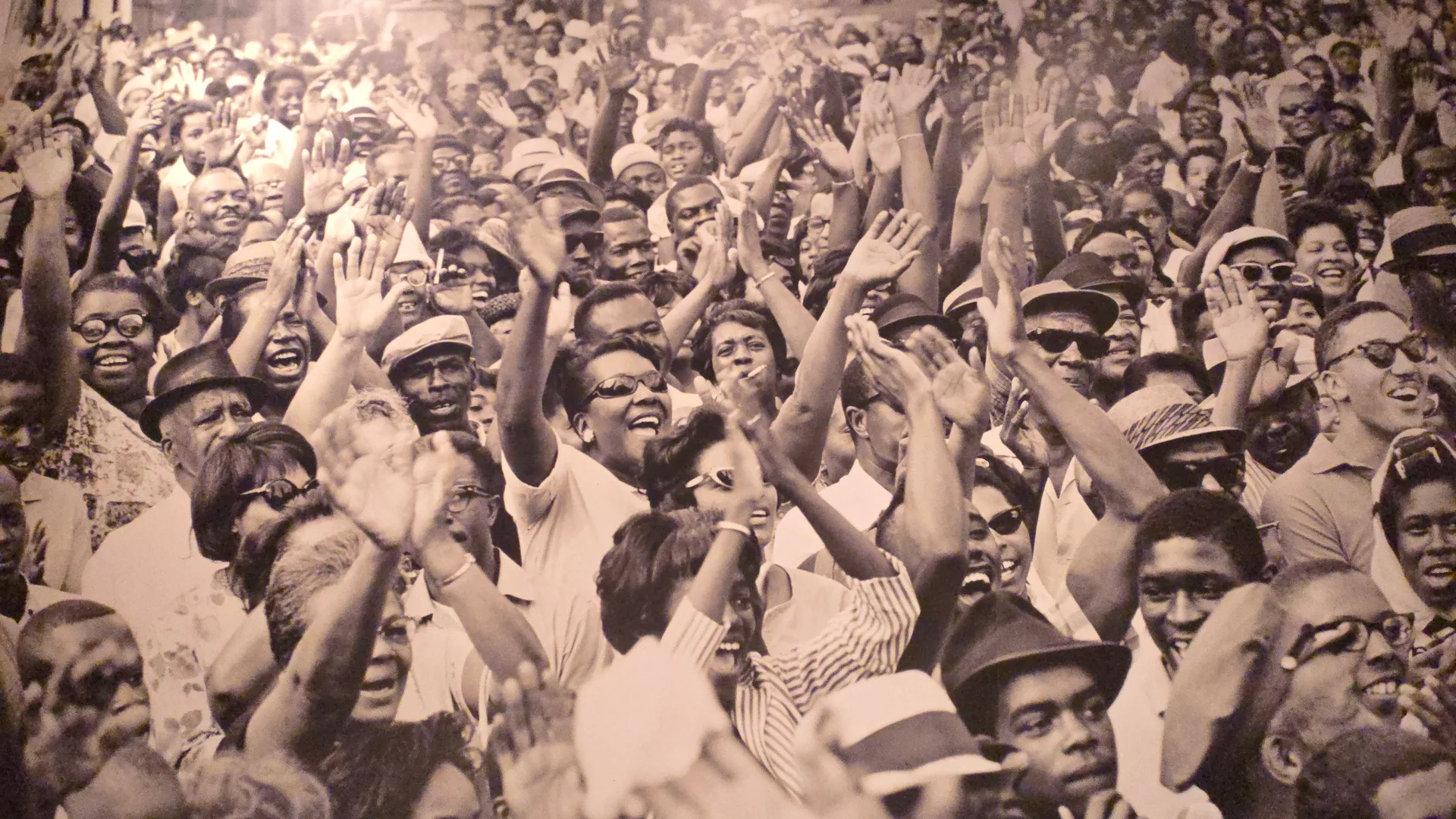 Elevation Hotel library